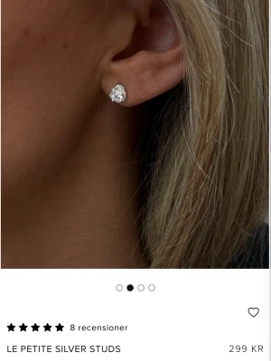 Örhängen - Fina örhängen från Muli Collections julkalender som aldrig använts pga att jag inte har örhängen. 