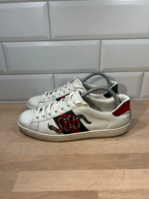 Gucci Ace Snake - Gucci Ace Snake i bra skick🐍| Storlek: 42 kan passa 43 | Vid frågor eller diskussion om pris är det bara att skriva✍🏼| Frakt inom 48h📦