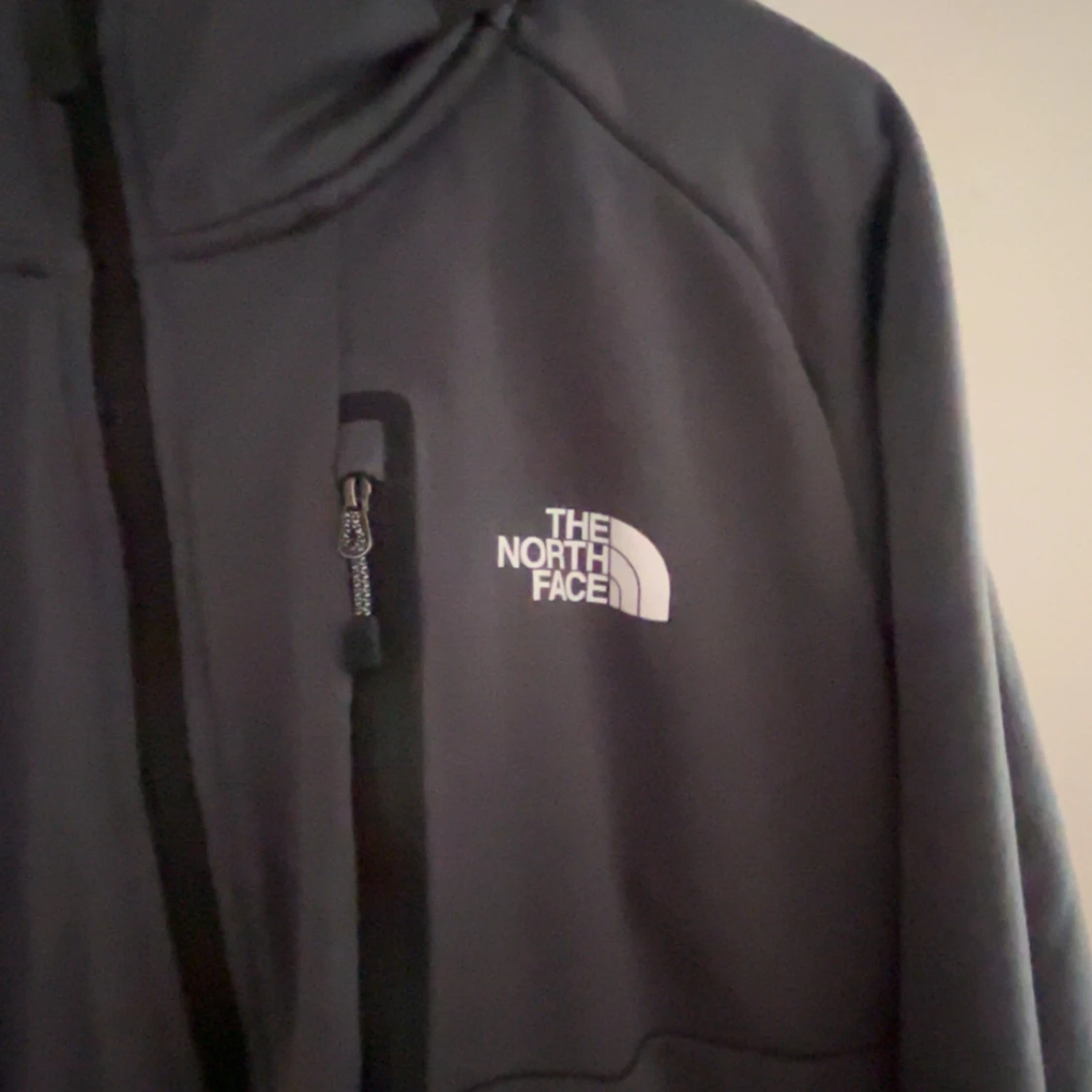 The north face hoodie - 2