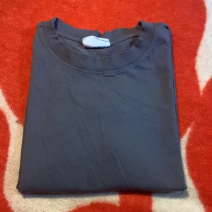 Helt vanlig grå t-shirt - Grå tisha ny utan lapp  