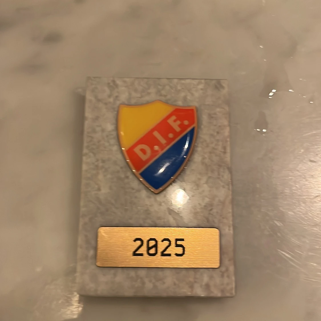 DIF plakett med klubbmärke 2025