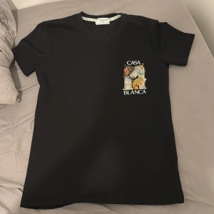 Svart t-shirt från Casablanca - Svart t-shirt från Casablanca med coolt konstnärligt tryck på bröstet och ryggen. Trycket visar pelare, pensel och palett, samt texten 'CASA BLANCA'. Klassisk passform och rund hals. Perfekt för dig som gillar streetstyle och unika prints. Den är helt ny och inte använd bara att etiketten inte är på. Kan mötas upp i gbg eller frakta, kom dm för mer info.