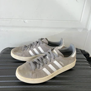 Grå Adidas Campus sneakers i mocka - Snygga Adidas Campus sneakers i grå mocka. Fint skick, dom är använda fåtal gånger. De finns en fläck på höger sko längst fram vid tå, se bild. Men inget som stör enligt mig
