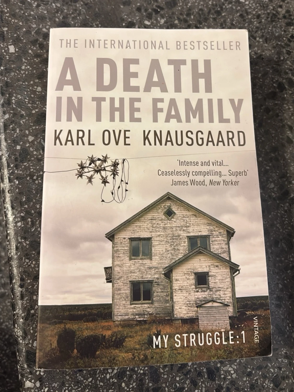 A Death in the Family