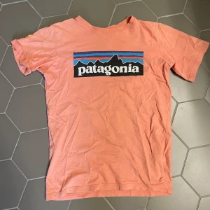 Korallrosa Patagonia t-shirt  - Snygg korallrosa t-shirt från Patagonia. Klassisk passform med korta ärmar och rund hals. Stor logga med bergsmotiv och färgade ränder framtill. Tillverkad i mjuk bomull, perfekt för en chill och avslappnad stil.