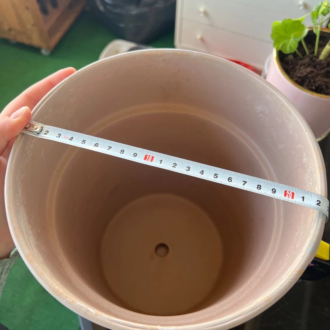 Stor fin Rosa kruka - 1