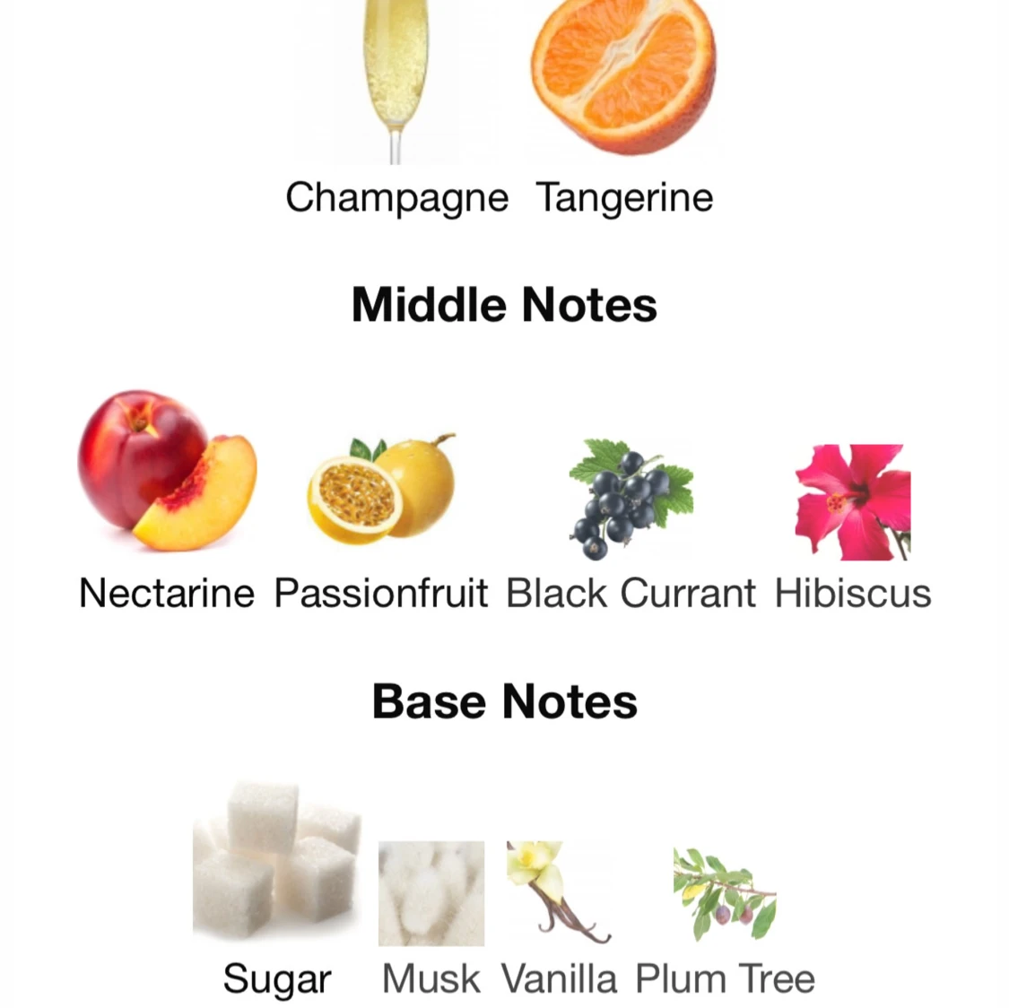 Bath & Body Works Champagne Toast mist & lotion - 4