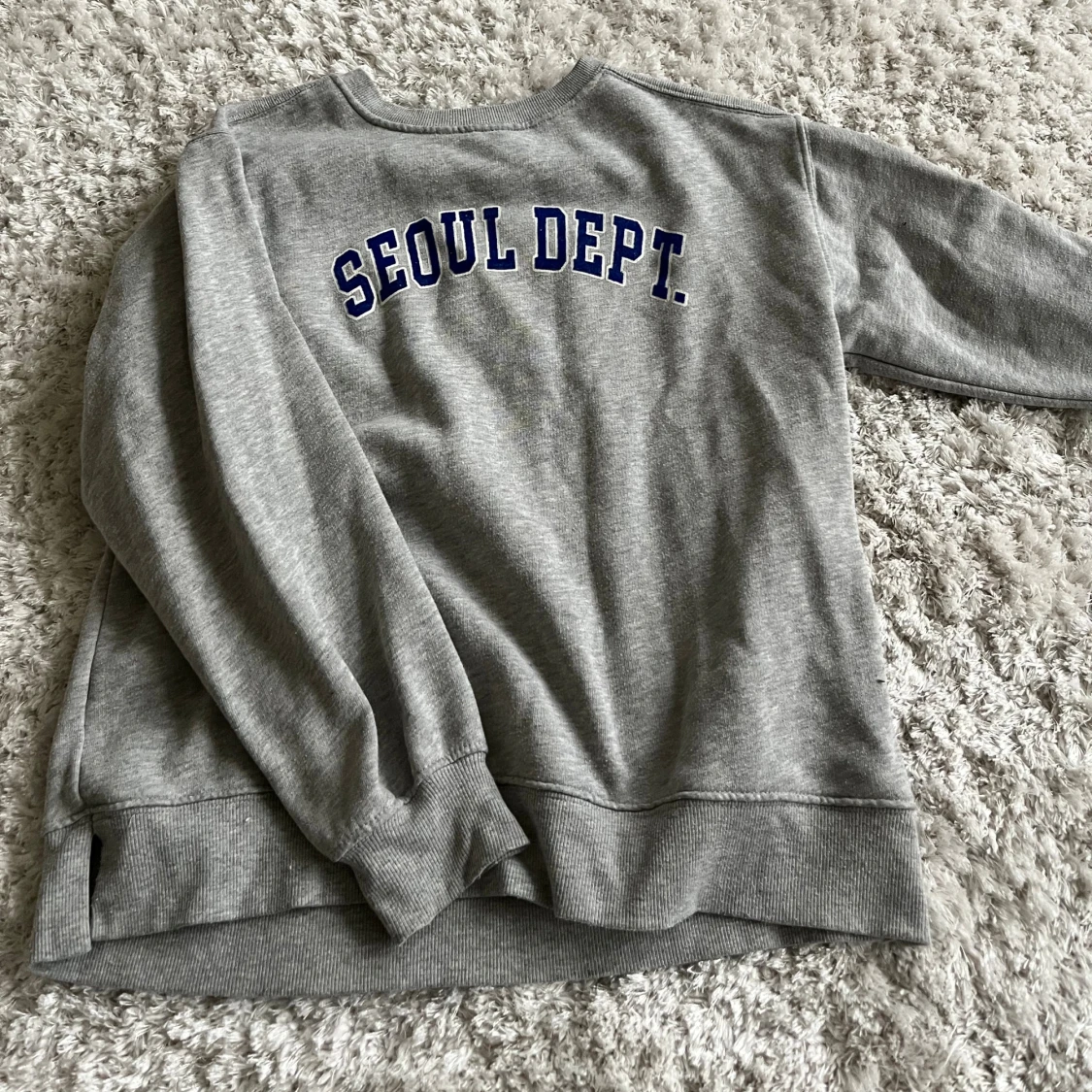 Grå sweatshirt från Zara med tryck