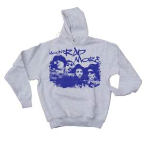 Ascool hoodie från shirtstore! Nyskick😇 Nypris 395