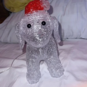 Dekorations hund  - Endast seriösa köpare! 