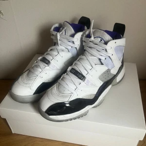 Jordans - Jordan skor i storlek 41