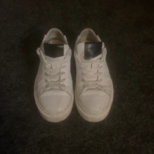 Sneaky Steve sneaker - Sneaker, finns tecken på användning men ändå fina! Var inte rädd för att fråga vid intresse!😀😀