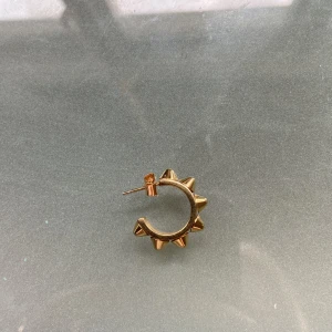 Edblad örhänge☀️ - Jätte fint Edblad örhänge! BARA EN! I jätte fint skick, planteringen är intakt💗🥂pris går att diskuteras😉