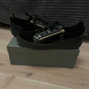 Giuseppe Zanotti skor - Giuseppe Zanotti skor. 8.5/10 i skick. Är öppen för byten