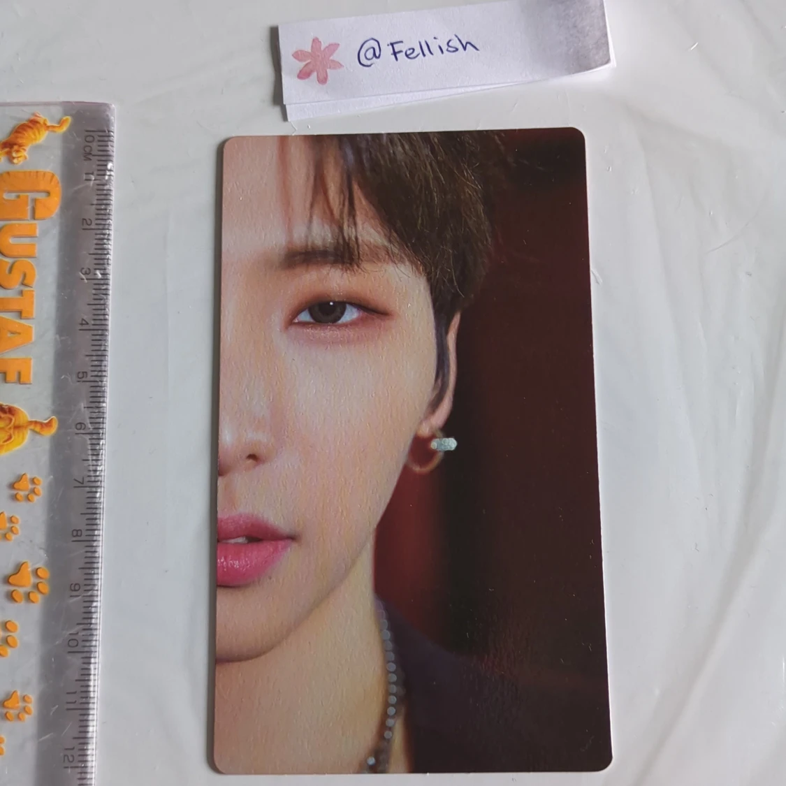 Seoho oneus inclusion