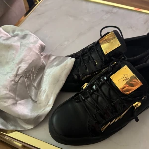 Guiseppe Zanotti skor - Använda endast en gång. Dustbag medföljer. Nypris ligger på 6500kr. Inköpta på Farfetch. Kvitto finns. Pris kan diskuteras. 