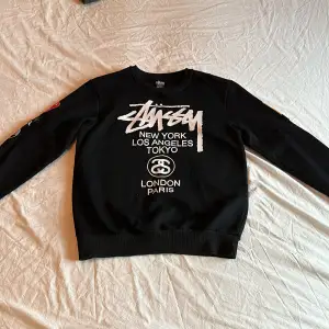 Stüssy tröja.  Står storlek L men sitter som S