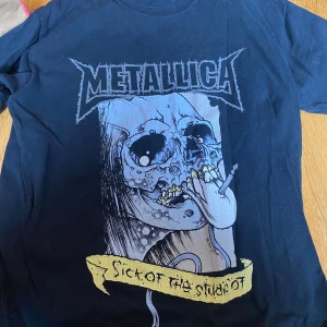 metallica bandtröja - jättesnygg bandtröja med metallica tryck! köpt second hand men är i fint skick. säljer då jag inte lyssnar så mycket längre. har katt! 