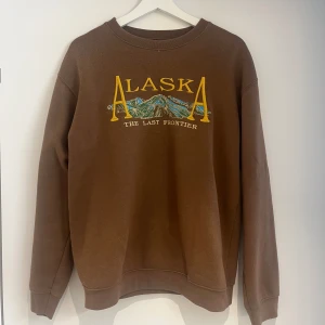 Sweatshirt  - Använd bara ett fåtal gånger så den är fortfarande supermjuk inuti 💗 Passar flera storlekar beroende på hur man vill att den ska sitta 