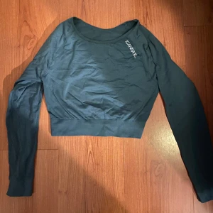 Träningströja från icaniwill - Använd fåtal gånger så den är i bra skick! I färgen Jungle Green