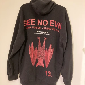  Hoodie  - Kommer inte till användning längre inga täcken på slitach 