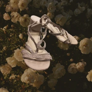 Glittriga skor - Glittriga skor med låga klackar. Välanvända men i bra skick.