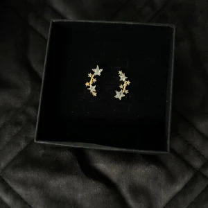 Smycken - Örhänhen