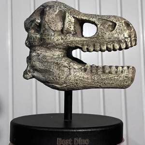 en dinosaurie skelett staty som kan tas bort från ”hållaren” och även skruvas runt så man inte ser texten ”best dino” hahah. hållaren har några repor i sig (markerade på bild 2). köpt från flying tiger. kp vid frågor!