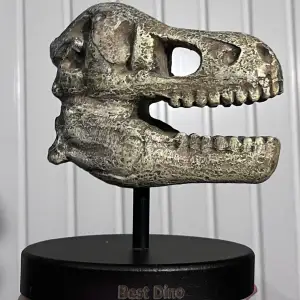 en dinosaurie skelett staty som kan tas bort från ”hållaren” och även skruvas runt så man inte ser texten ”best dino” hahah. hållaren har några repor i sig (markerade på bild 2). köpt från flying tiger. kp vid frågor!