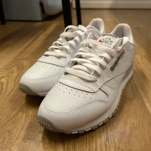 Reebok classic  - Helt oanvända. Kampanj specialversion sprejade med motiv på baksidan av skon, se bild.