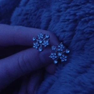 Snöflingsörhängen  - Säljer nu dessa då jag inte använder de längre!!💞