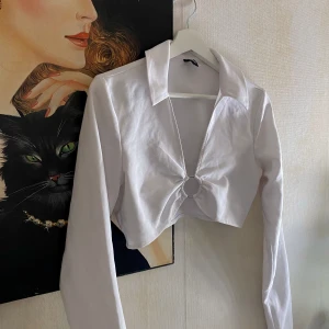 Crop top med krage  - Vit crop top med V-ringning och dekorativ ring. Toppen har långa ärmar och en krage. På vänster sida finns en dragkedja. Storlek 38⚡️⚡️