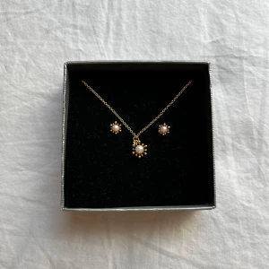 Halsband och örhängen  - Sälgens för 10kr för 1 eller 17 för 2 , örhängen säljer jag bara som ett par, du kan också välja andra saker från min sida för att få 17 för 2 . Smyckena är aldrig använda!!