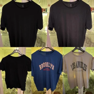 T-shirt - Säljer alla dessa t-shirts för att jag inte använder dom. Dem är använda men i helt okej skick. Dem är från bland annat Cubus och shein. Pris 50 kronor plus frakt för alla T-shirts.
