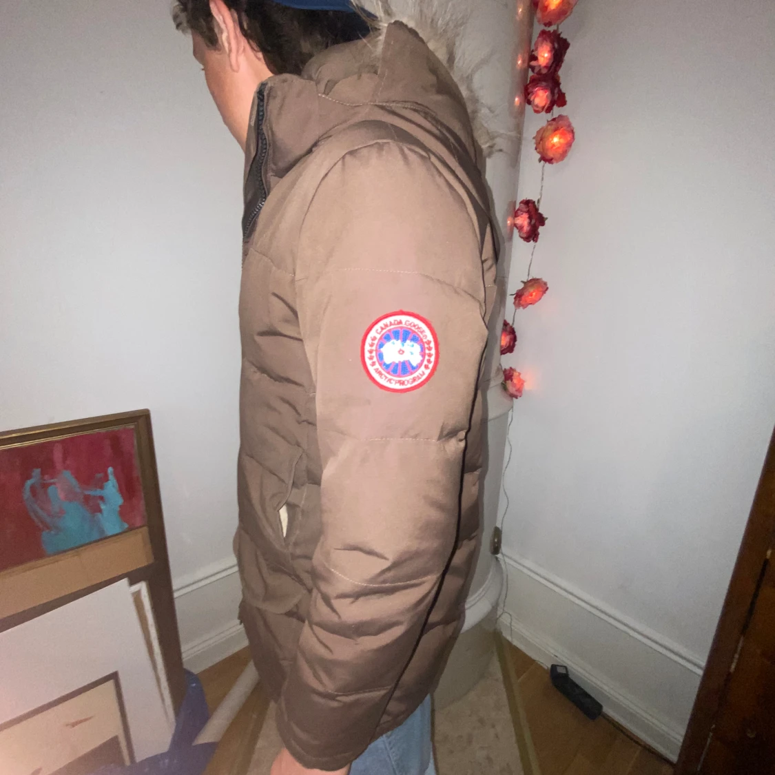 Canada goose - 90