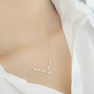 12 konstellation Strass Halsband i 925 Silverpläterad  - Finns 12 konstellation kvar  Helt ny  125kr/st  Sammafrakt 