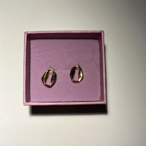 Guldörhängen  - Jättefina Edblad örhängen, äkta såklart! Kommer inte så mycket till andvändning och ploppar ingår! Har ingen Edblad Ask så använder en annan!