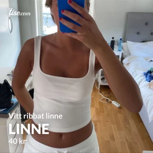linne - nyskick