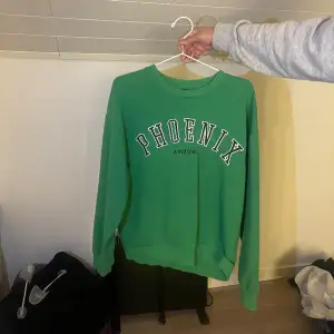 En snygg college sweatshirt från Gina Tricot i en skön grön färg💚💚