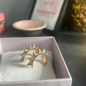 Örhängen  - Säljer dessa FAKE Edblads örhängena då jag inte passade i dom. Använda en gång, nypris 50kr mitt pris 30kr+frakt☺️