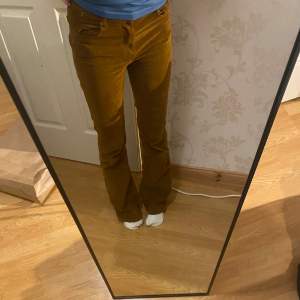 Supersöta bootcut manchesterbyxor från Pull & Bear! 