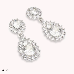 Lily and rose örhängen  - Säljer dessa såå fina örhängena från lily and rose❤️ aldrig använda då jag använder mest guld. Köpta för 550kr❤️