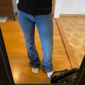 Boot flare jeans från Bikbok. Waist 24 och längd 32. De har lite slitningar, skriv privat för bild. 