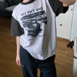 T-shirt brandy melville - Har aldrig använt. Storlek - onesize, men den sitter som en L.