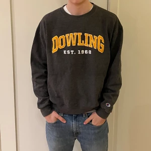 Champion sweatshirt  - En grå Champion sweatshirt i storlek large, L. Kvaliten är bra.