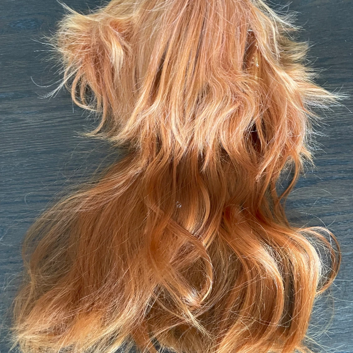 Cosplay peruk chuya bungo stray dogs - 91