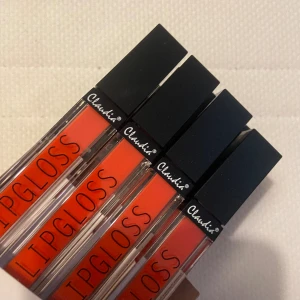 Lip gloss claudia  - 12 pack, helt nya Alsrig ens öppnade, i färgen Peach!