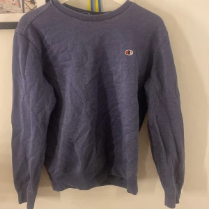 Vintage Champion tröja - En vintage tröja från märket Champion. Tröjan är i strl S men skulle säga passar som en M också. Tröjan är i ett bra skick! Skriv för fler bilder eller frågor!❤️