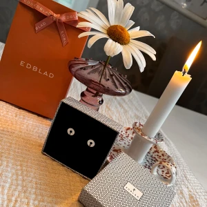 Örhängen Edblad  - Örhängen från Edblad dom är runda med en strass i nedre mitten och är i stål  Nyskick, vill ni att jag skickar dom i en Edblad låda kostar det 15kr extra + frakt