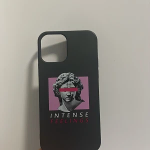 iPhone skal - skal till iPhone 12 + 12 pro! Intense Feelings i färgen svart. Står för frakten!!!Dma mej om du är intresserad!